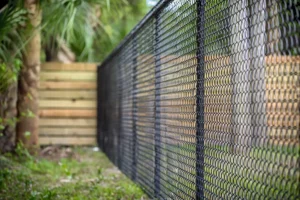 Chain Link Fence Options